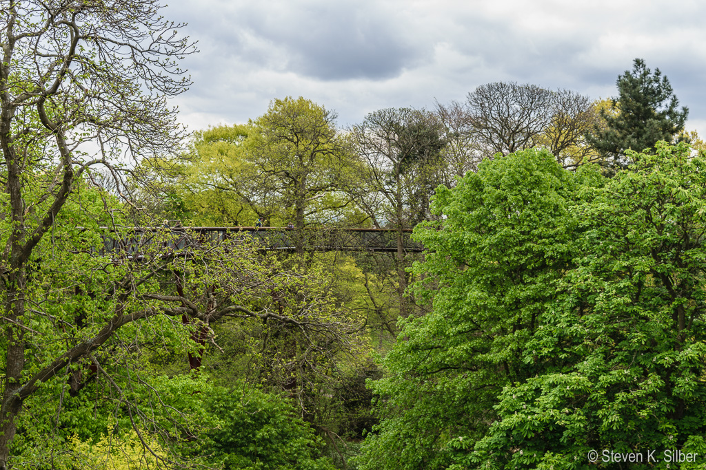 Walk through the tree tops. (1/100 sec at f / 7.1,  ISO 100,  35 mm, 18.0-55.0 mm f/3.5-5.6 ) April 29, 2017