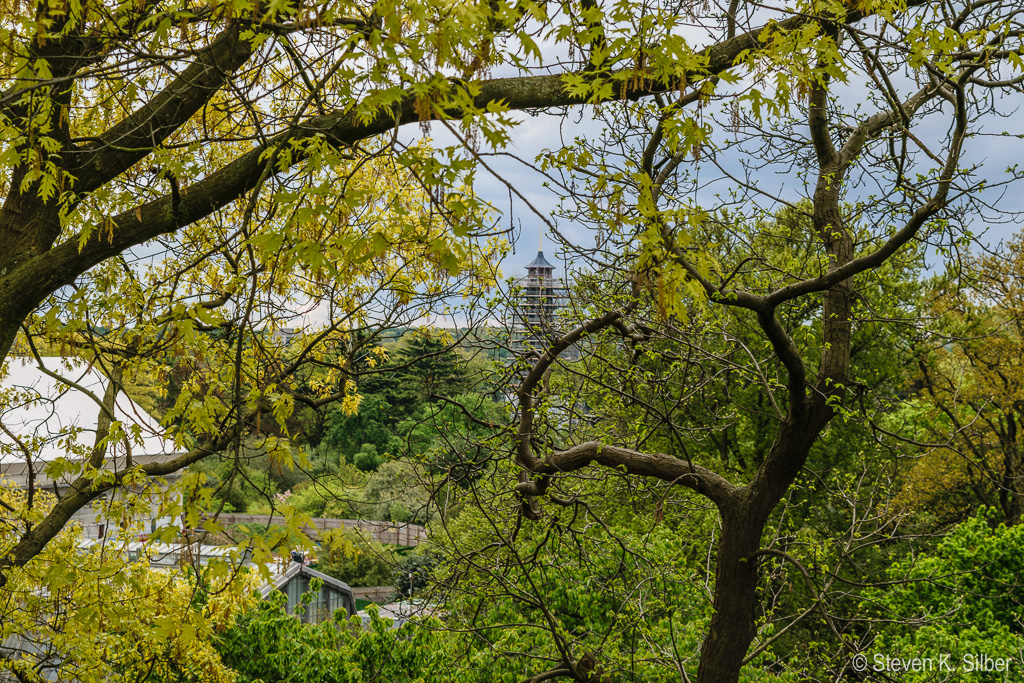 The pagoda (under repair) from the tree top walk. (1/200 sec at f / 7.1,  ISO 100,  48 mm, 18.0-55.0 mm f/3.5-5.6 ) April 29, 2017