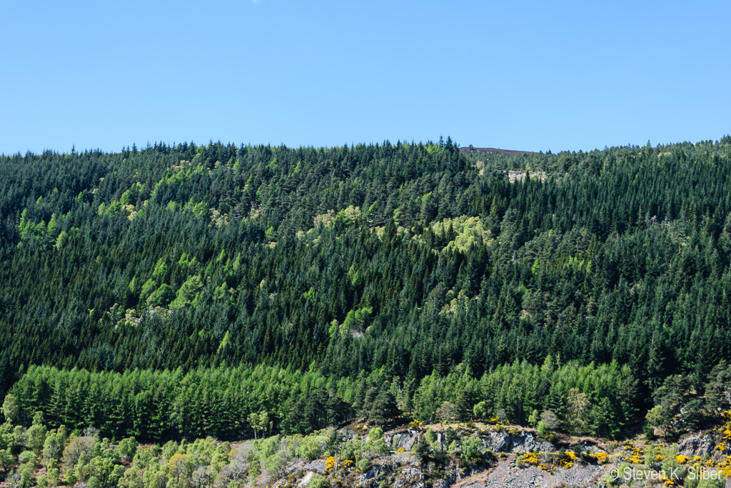 Tree-filled hill along Loch Ness (1/125 sec at f / 7.1,  ISO 100,  55 mm, 18.0-55.0 mm f/3.5-5.6 ) May 09, 2017