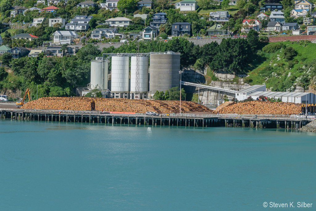 Logs are all riata pine for export. (1/800 sec at f / 9.0,  ISO 200,  86 mm, 55.0-300.0 mm f/4.5-5.6 ) November 20, 2023