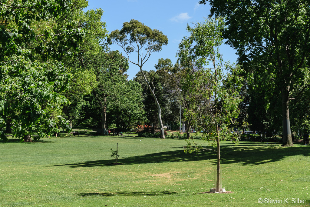 This is in the center of Downtown Melbourne. (1/400 sec at f / 8.0,  ISO 200,  45 mm, 18.0-55.0 mm f/3.5-5.6 ) November 12, 2023