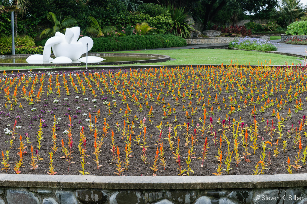 It is just spring here, a lot of new plantings coming out. (1/125 sec at f / 9.0,  ISO 200,  55 mm, 18.0-55.0 mm f/3.5-5.6 ) November 22, 2023