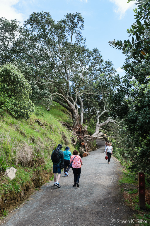 Trail up to the top. (1/125 sec at f / 9.0,  ISO 200,  18 mm, 18.0-55.0 mm f/3.5-5.6 ) November 23, 2023