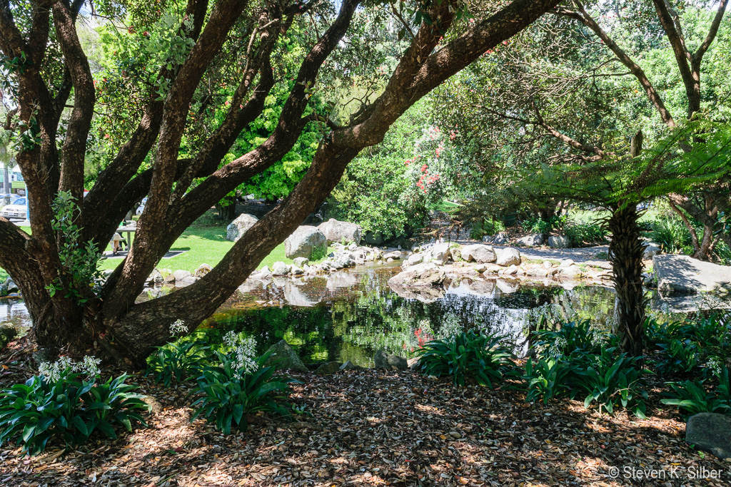 Small park in downtown area. (1/125 sec at f / 9.0,  ISO 200,  18 mm, 18.0-55.0 mm f/3.5-5.6 ) November 23, 2023