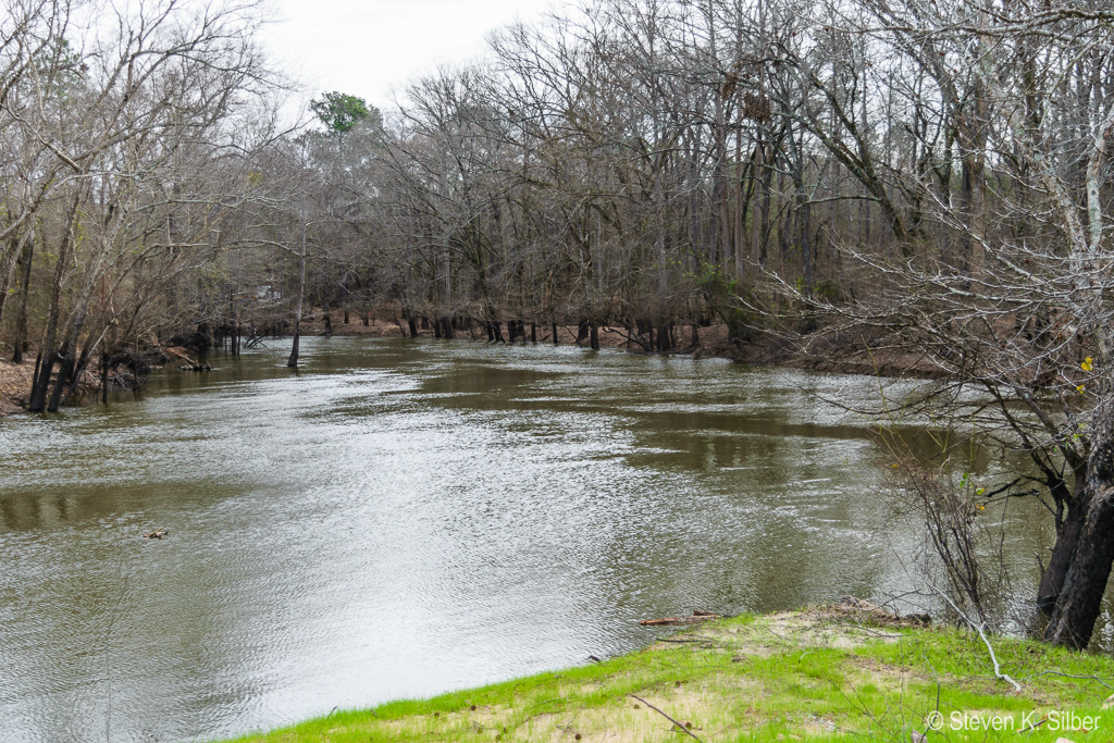 Looking downstream from turning basin. (1/200 sec at f / 4.5,  ISO 100,  32 mm, 18.0-55.0 mm f/3.5-5.6 ) January 25, 2017