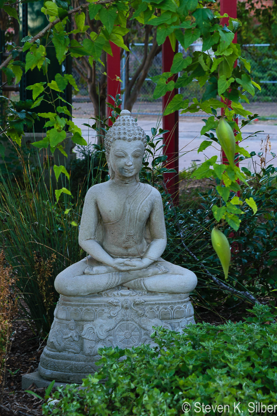 Shreveport Asian Garden